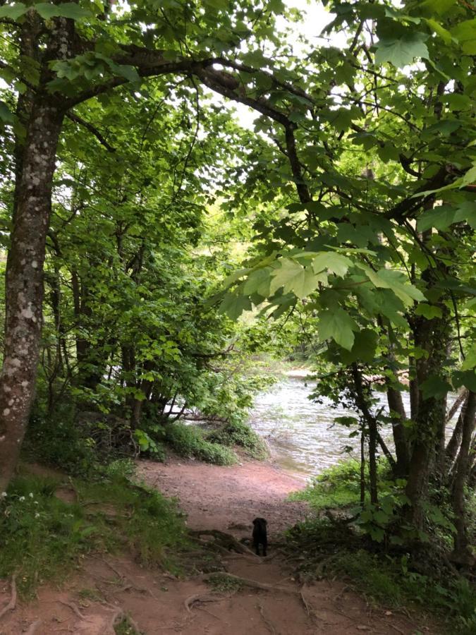 Symonds Yat - Herefordshire Property With Stunning Views Buitenkant foto